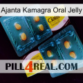 Ajanta Kamagra Oral Jelly cialis5